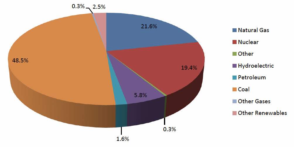 US Electric Power Industry Net Generation, 2007